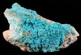 Turquoise Blue, Botryoidal Chrysocolla - Congo #58938-1